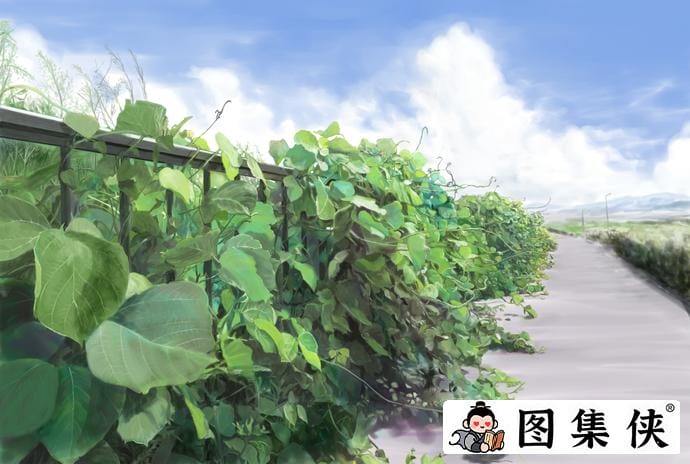 高质量公路多汁多肉的糙汉烈途文讲述了什么内容?甜腻又上头-5 高质量公路多汁多肉的糙汉烈途文讲述了什么内容?甜腻又上头